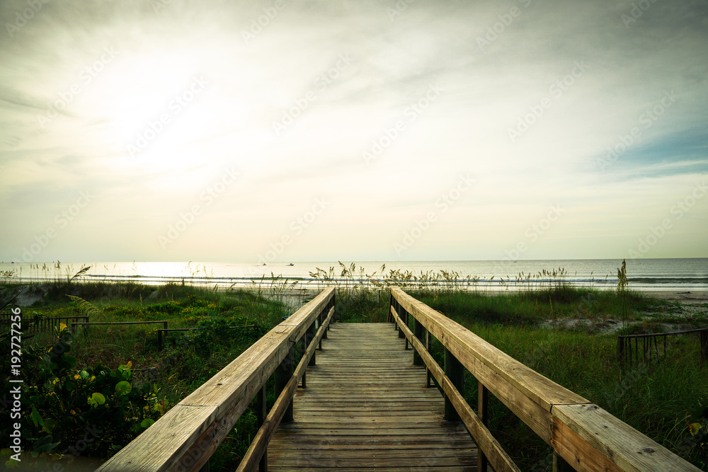 Obraz premium Canaveral National Seashore in Florida