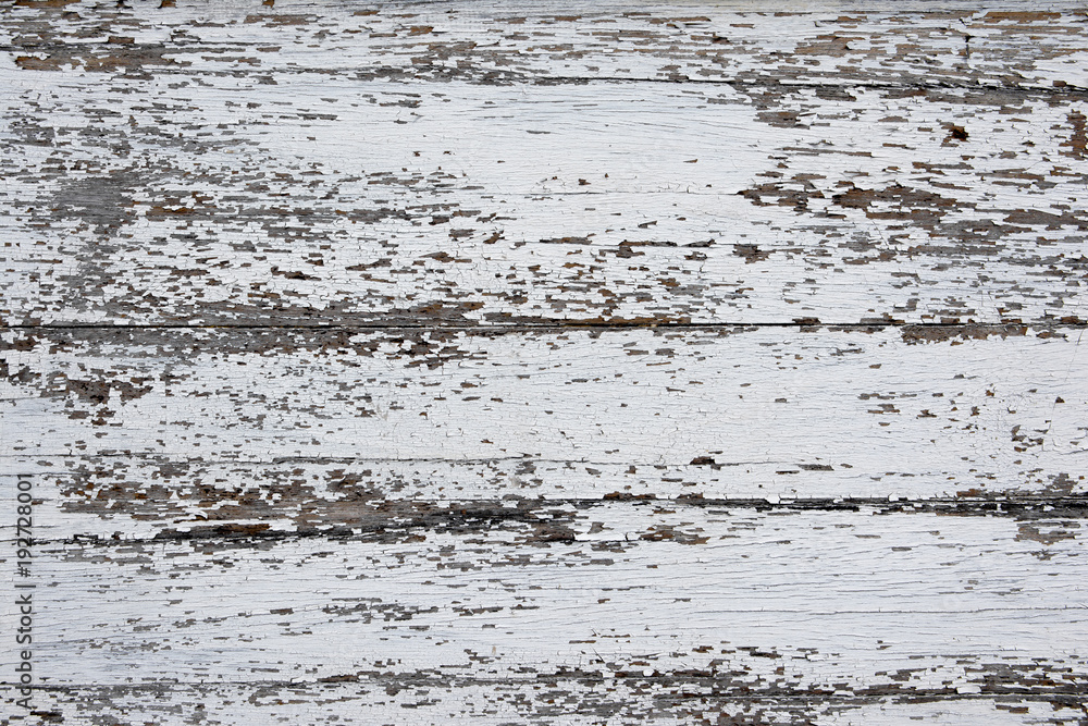 Obraz premium Old white wood texture background