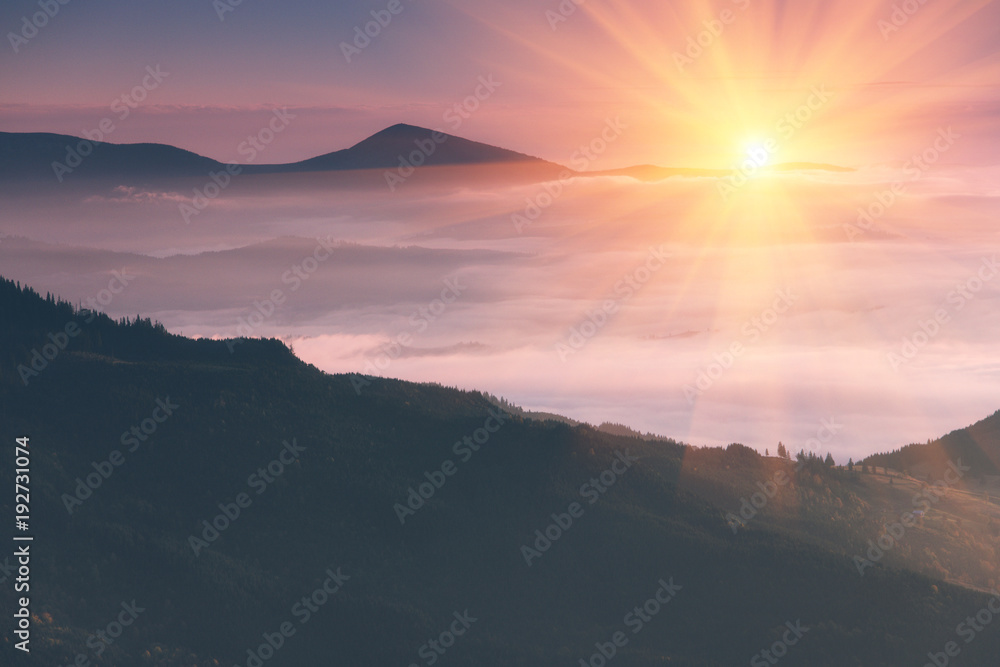 Beautiful landscape in the mountains at sunrise. View of  the foggy hills covered by forest. Retro effect. Traveling concept background.