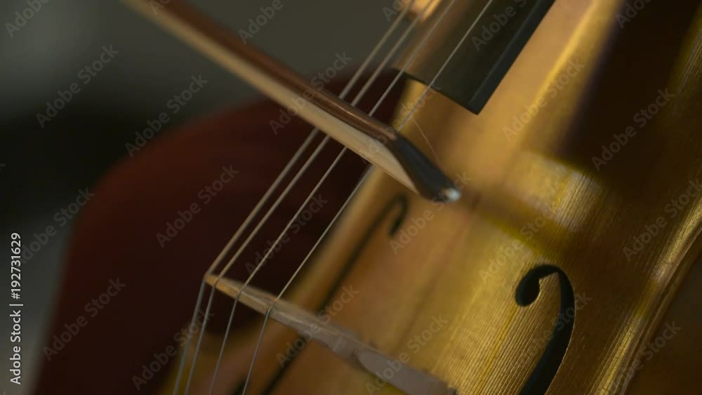 Cello in orchestra. Musician playing Cello Cello in orchestra. Musician playing Cello