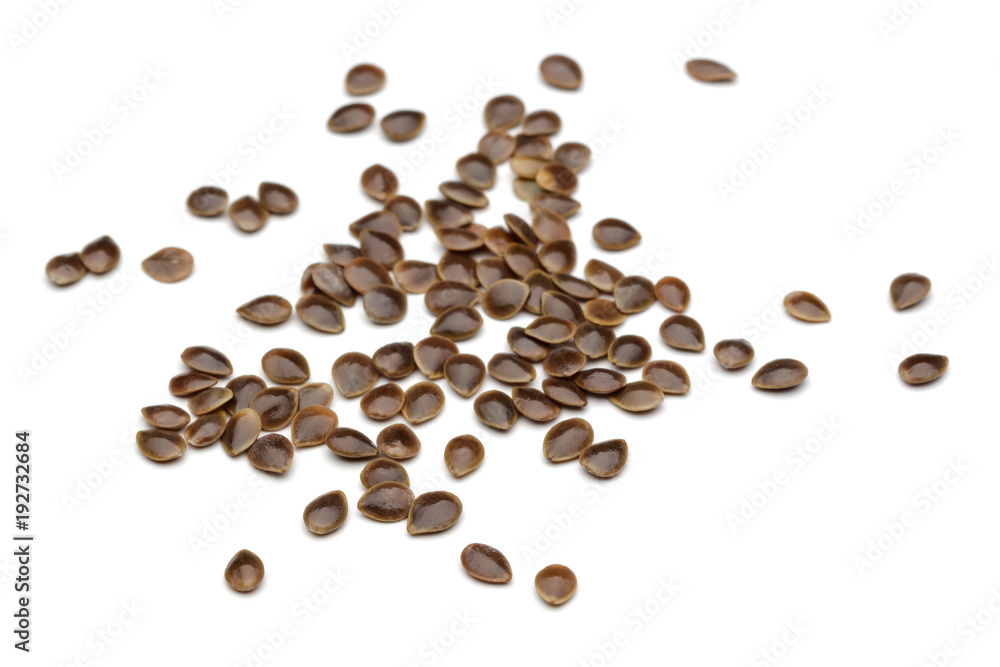 Nettle seeds Nettle seeds