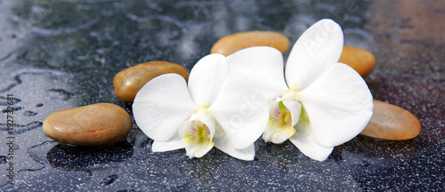 Two orchid flowers and spa stones.