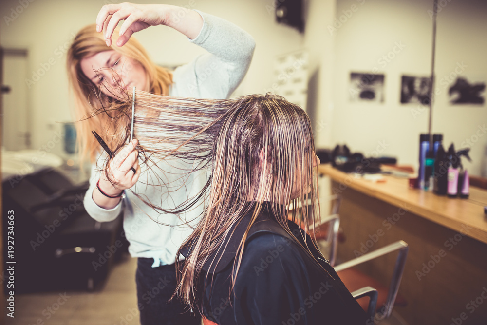 Fototapeta premium Woman in hair salon getting her hair cut by the hairdresser. 