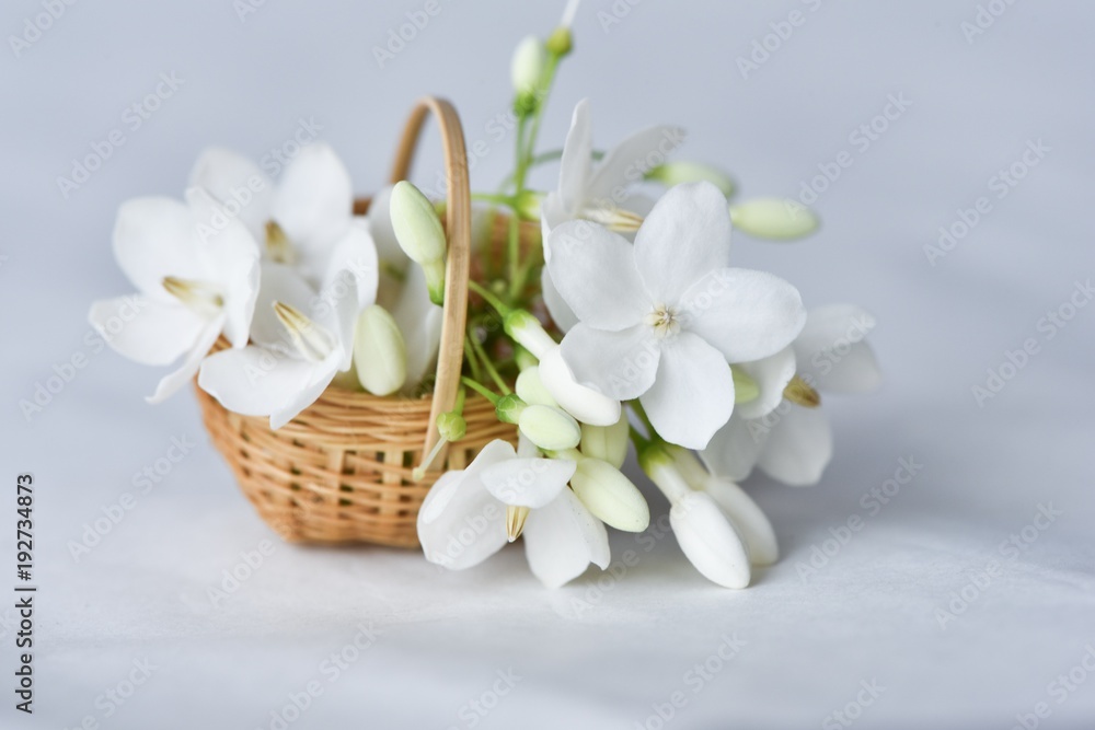 Wrightia flower in tiny bamboo basket Wrightia flower in tiny bamboo basket