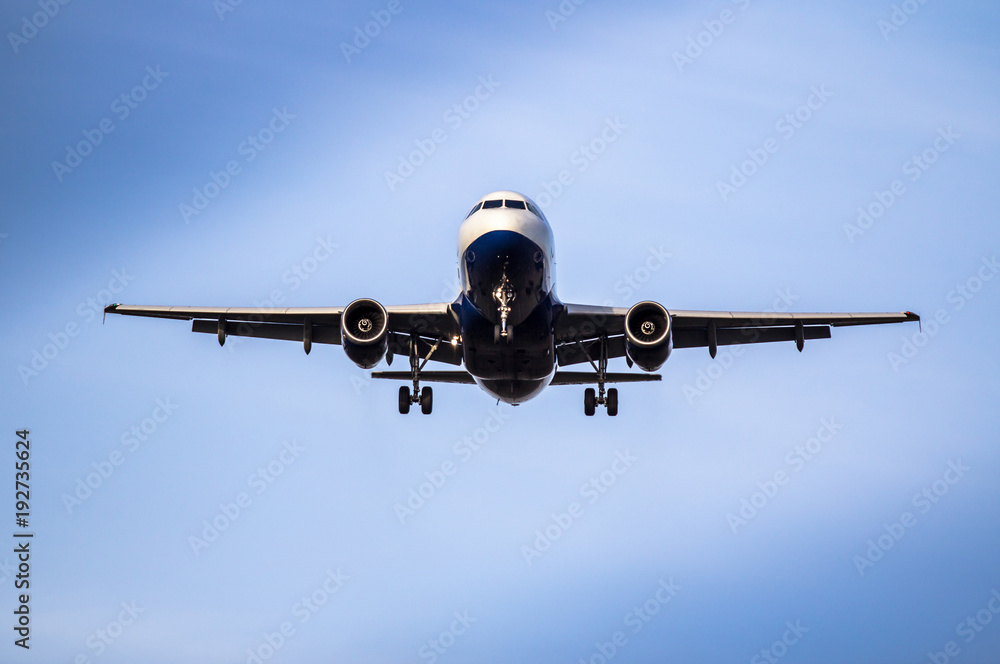 Naklejka premium Airplane ist landing
