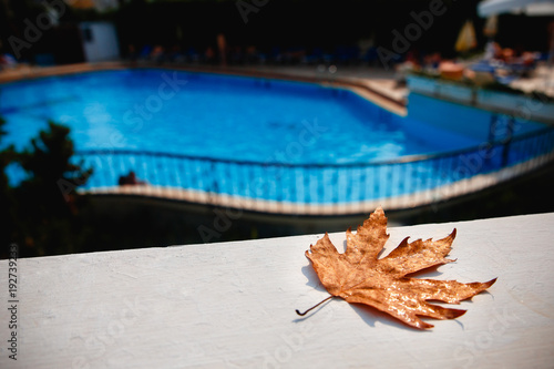 Fotografie Yellow leaf lies near pool