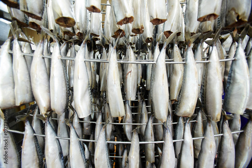 Raw mackerels hanging on wires before smoke processing in fish factory