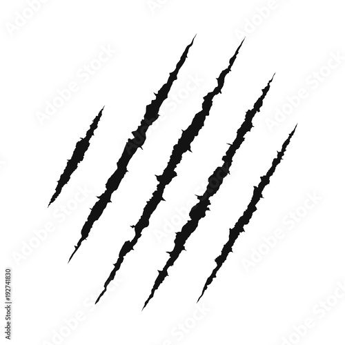 Claws scratching animal. shredded paper. Scratched surface. vector illustration