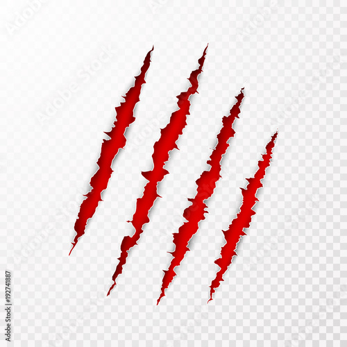 Scary leceration paper surface. Wild animal claws scratch texture with red background. Torn paper edge. Isolated vector illustration