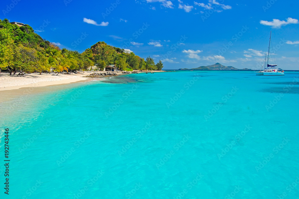 Wonderful tropical beach with catamaran boat on sea, Palm island, Caribbean region of Lesser Antilles