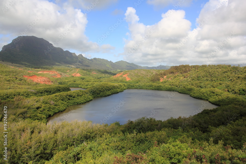 Obraz premium Menehune Fishpond Kauai Hawaii USA