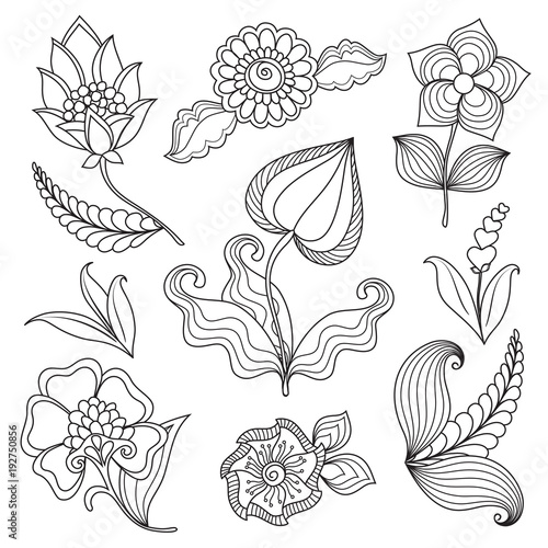 Set of floral elements. The  magic drawn  flowers and plants for decoration