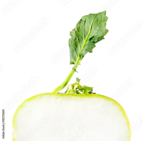 Kohlrabi or German turnip stem with green leaf cut in half inside longitudinal section isolated on white background