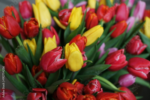 A huge bunch of colorful tulips.