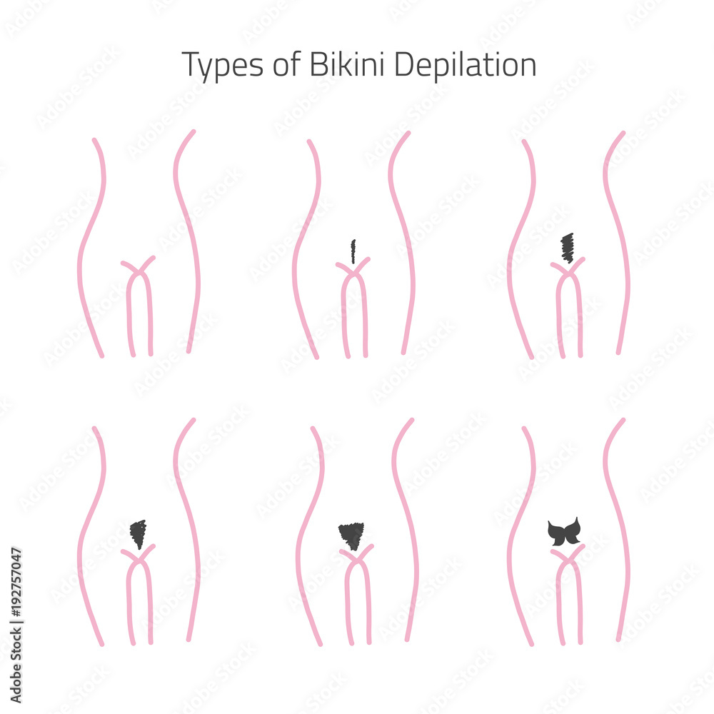 Types of bikijni hair removal in flat linear style. Can be used