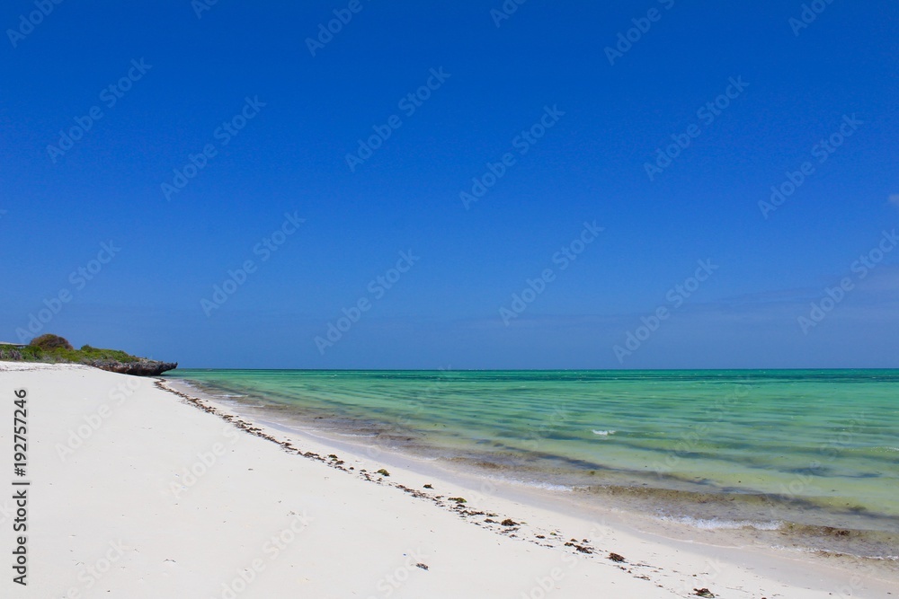 Obraz premium Watamu in Kenya 