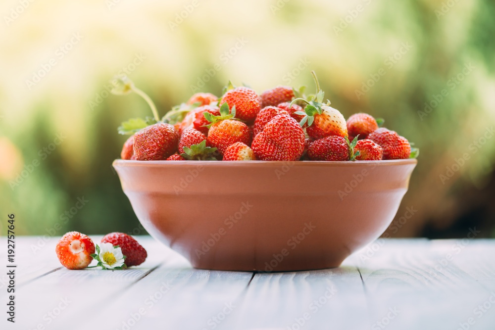 Natural organic strawberry from an own garden in ceramic bowl. Summer day at rural farm. Agriculture concept Natural organic strawberry from an own garden in ceramic bowl. Summer day at rural farm. Agriculture concept