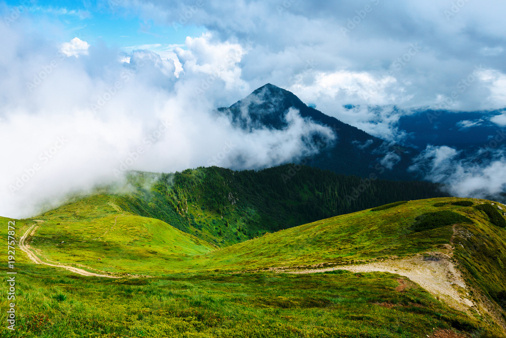 Picturesque summer landscape in foggy day in Carpathian mountains. Lush green forest from pine tree on backgound. Travel background concept Picturesque summer landscape in foggy day in Carpathian mountains. Lush green forest from pine tree on backgound. Travel background concept