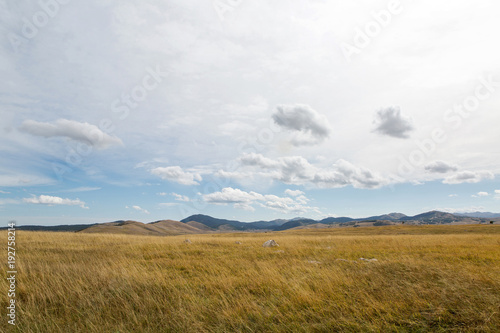 autumn field with yellow grass and mountains