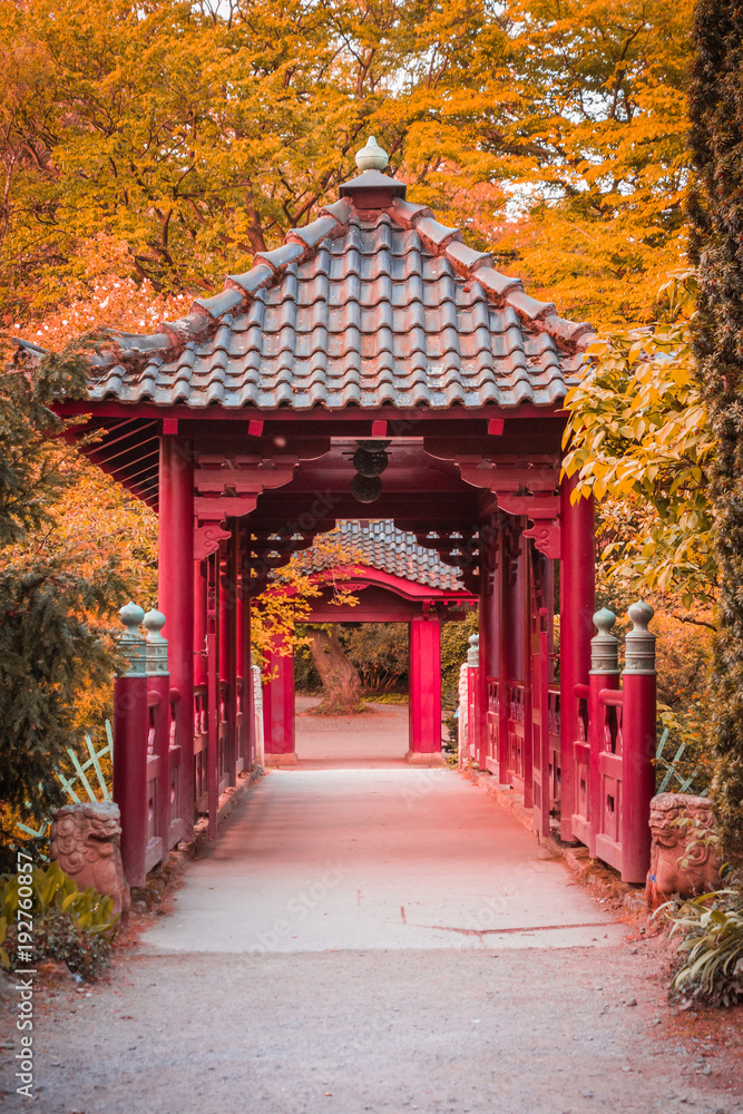 Japanischer Garten im Herbst