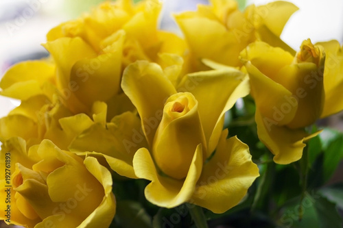 a bouquet of yellow roses