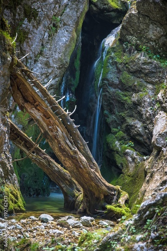 Waterfall and old trunk 