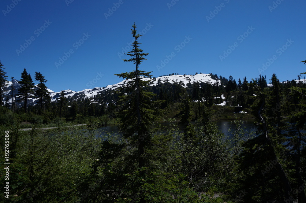 Naklejka premium Mt Shuksan