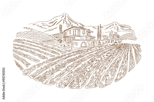 Wine yard sketch