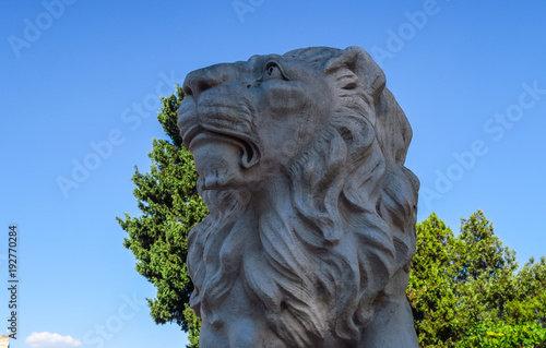 Statue of lion 