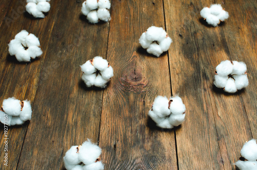 group Cotton plant flowers on brown wooden background
