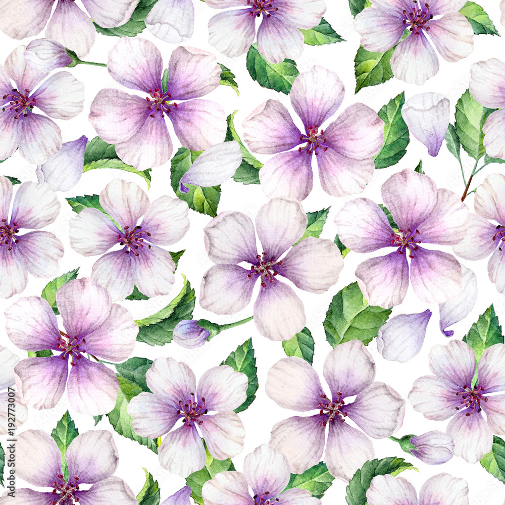 Apple flowers, petals and leaves in watercolor style on white background. Seamless pattern, Art watercolor illustration.