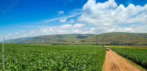 soybean plantation road montain brazil