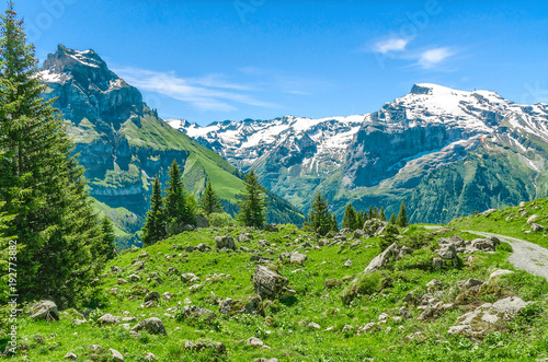 Canvastavla Swiss Alps