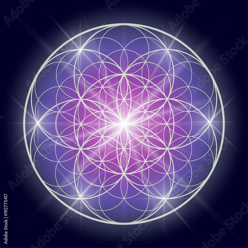 Flower of life or Pattern of Creation. Sacred geometry illustration.