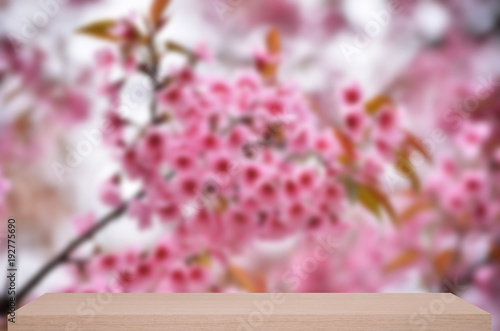 wild himalayan cherry flower defocus background with wood shelf