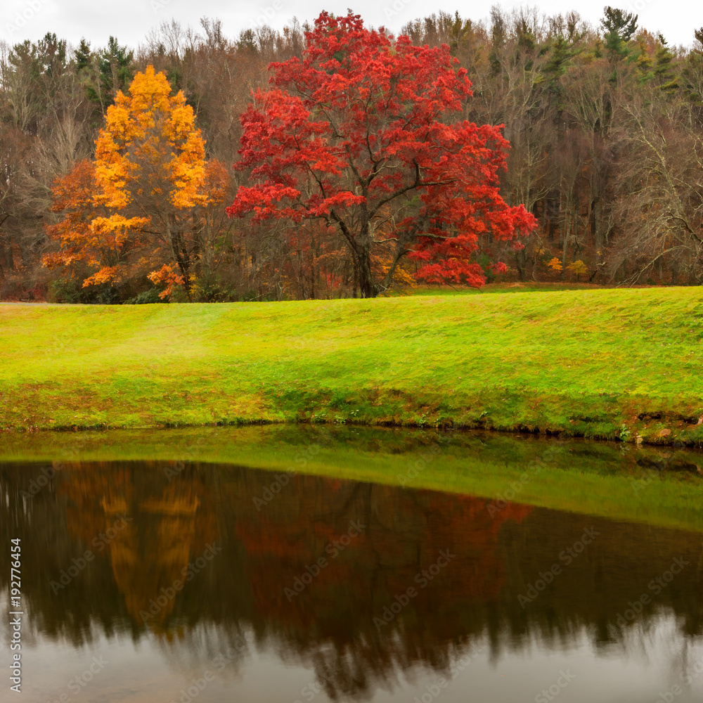 fall colors and landscape scenes