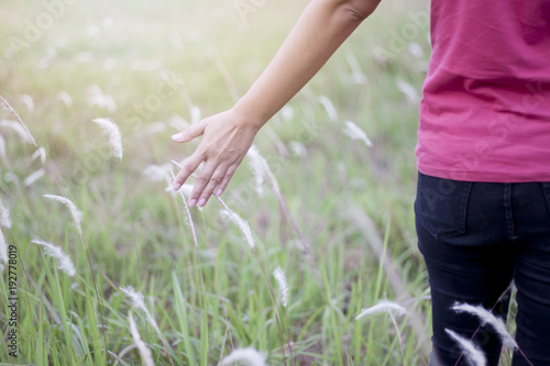 Woman hold hands to the grass. in the lawn .