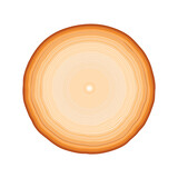Round piece of wood with tree rings in vector format. Brown and tan neutral circle natural background