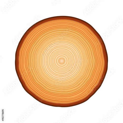 Round piece of wood with tree rings in vector format. Brown and tan neutral circle natural background