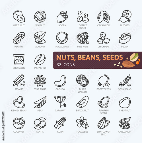 Nuts  seeds and beans elements - minimal thin line web icon set. Outline icons collection. Simple vector illustration.