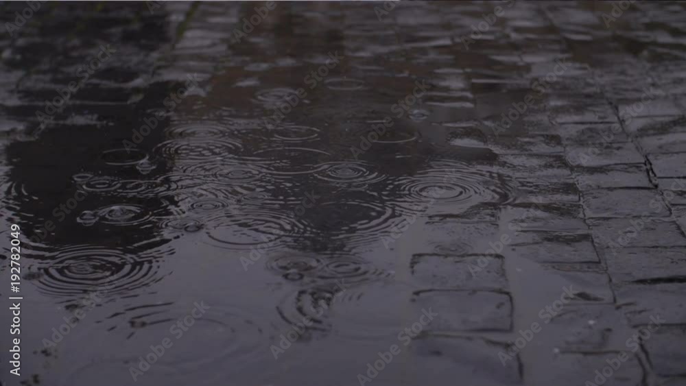Cobblestone plaza with distorted reflection of a dome Cobblestone plaza with distorted reflection of a dome