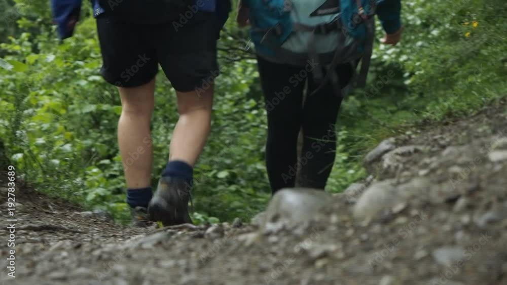 People hiking on muddy trail in the French Alps for health and fitness People hiking on muddy trail in the French Alps for health and fitness