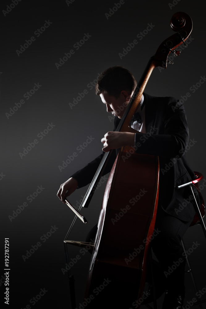 Obraz premium Double bass player contrabass playing