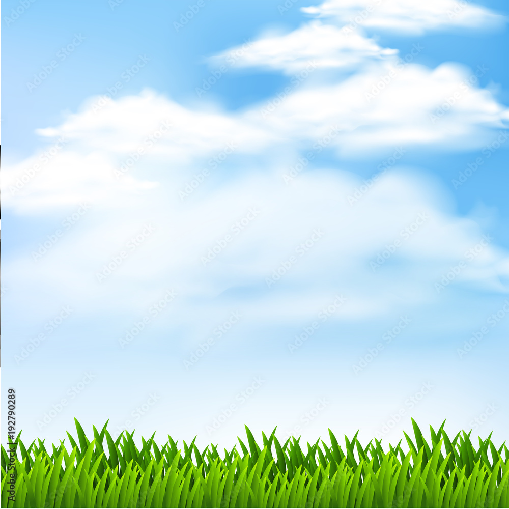 Background scene with green grass and blue sky Background scene with green grass and blue sky