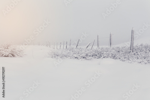 Wooden fence in snow. © Khritthithat