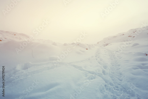 Beautiful landscape of the Snow with Tundra arctic in Teriberka ,Russia.