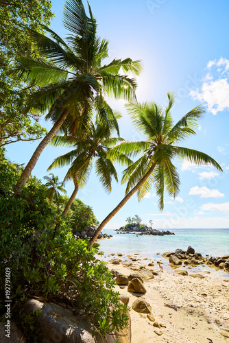 Tropical beach Anse Royale with granite boulders in the foreground at Mahe island  Seychelles - vacation background.