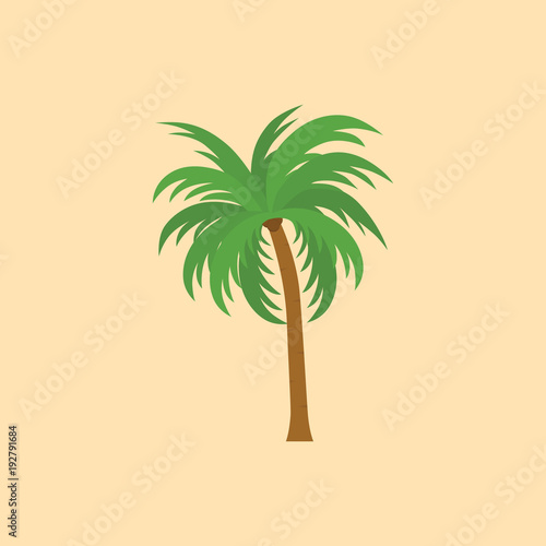 vector illustration of palm tree. can use for any design nature or tropic topic  flat design  icon tree  tree palm for background