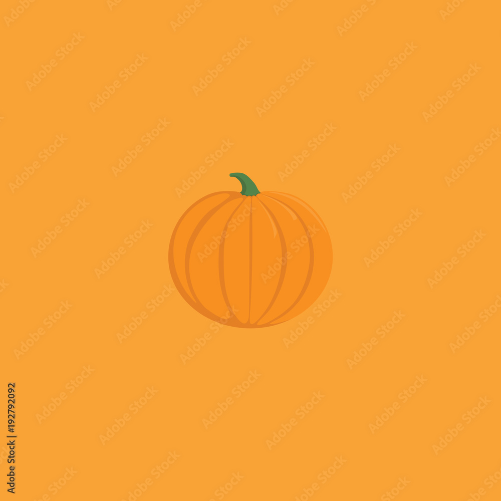 vector pumpkin illustration. pumpkin icon. can use for food and party topic. pumpkin for thanks giving day vector pumpkin illustration. pumpkin icon. can use for food and party topic. pumpkin for thanks giving day