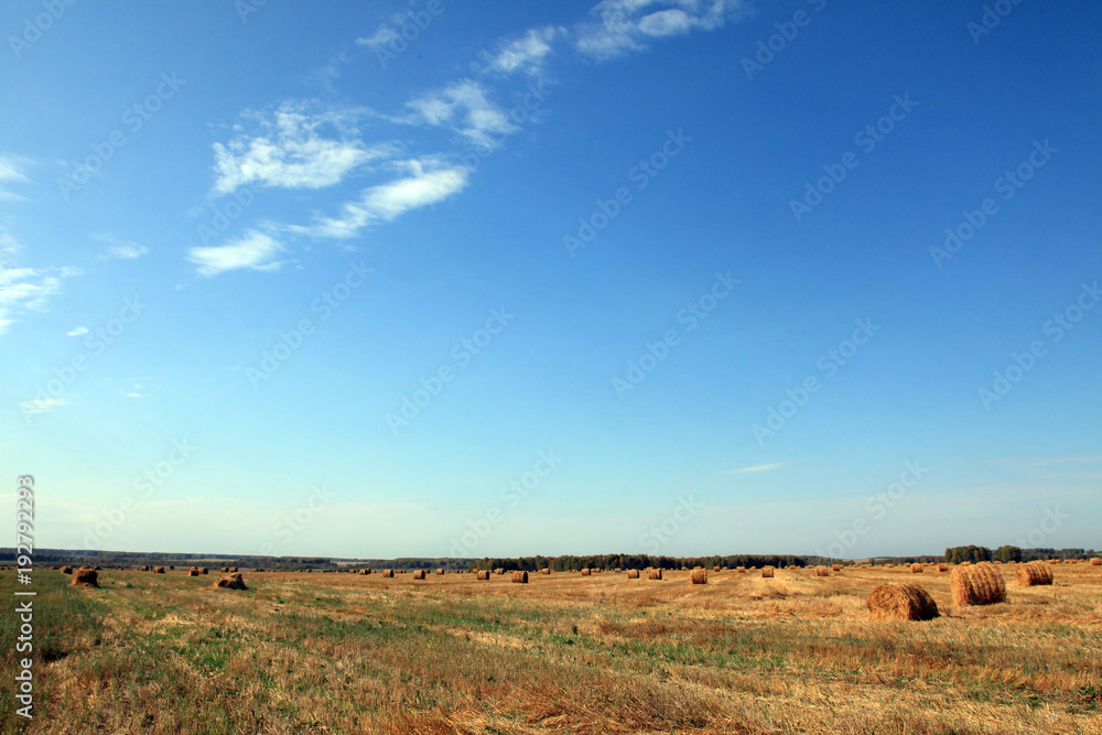 blue sky above the village field blue sky above the village field